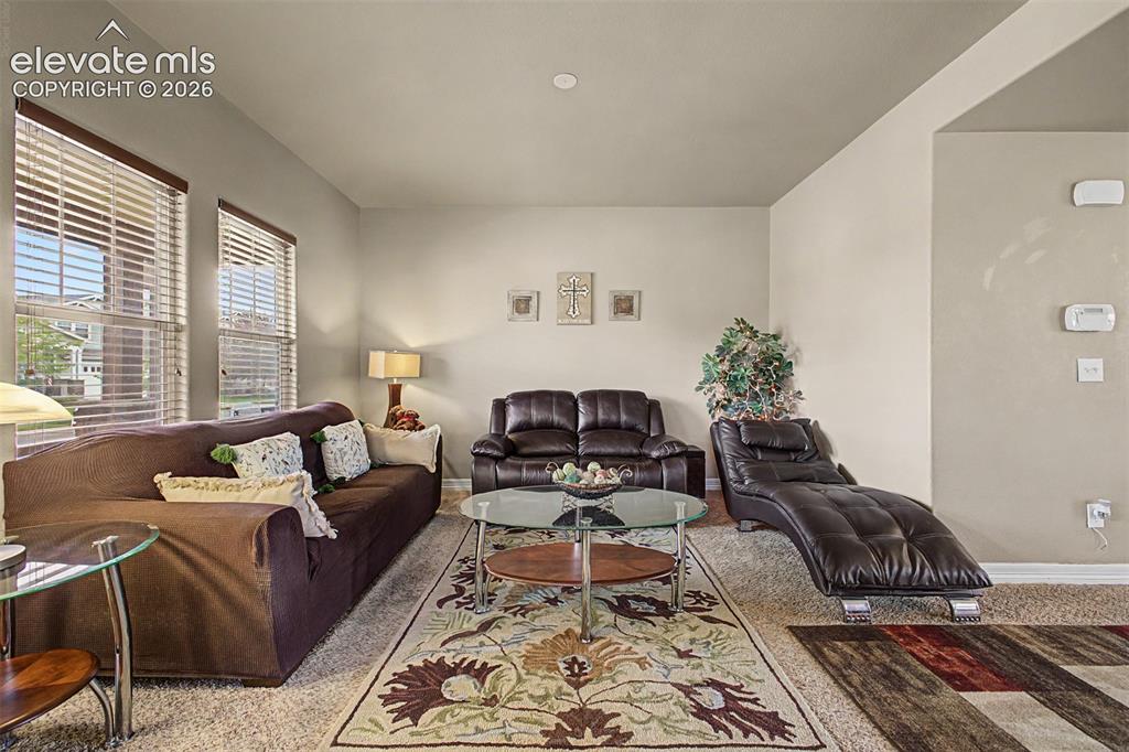 6678 Cottonwood Tree Drive Colorado Springs CO 80927