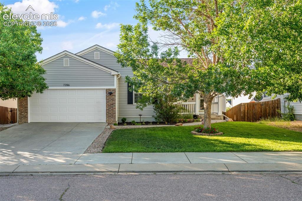 7286 Village Meadows Drive Fountain CO 80817