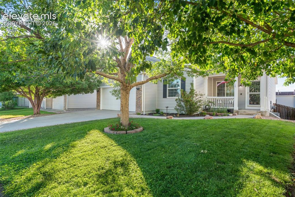 7286 Village Meadows Drive Fountain CO 80817