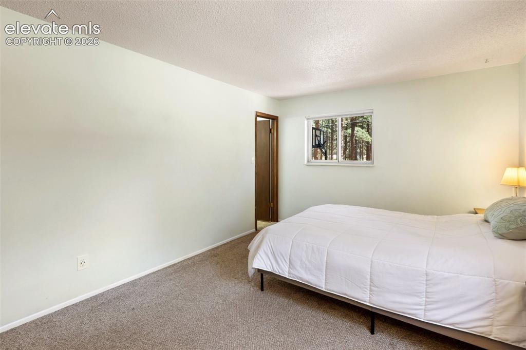 723 N Center Street Woodland Park CO 80863