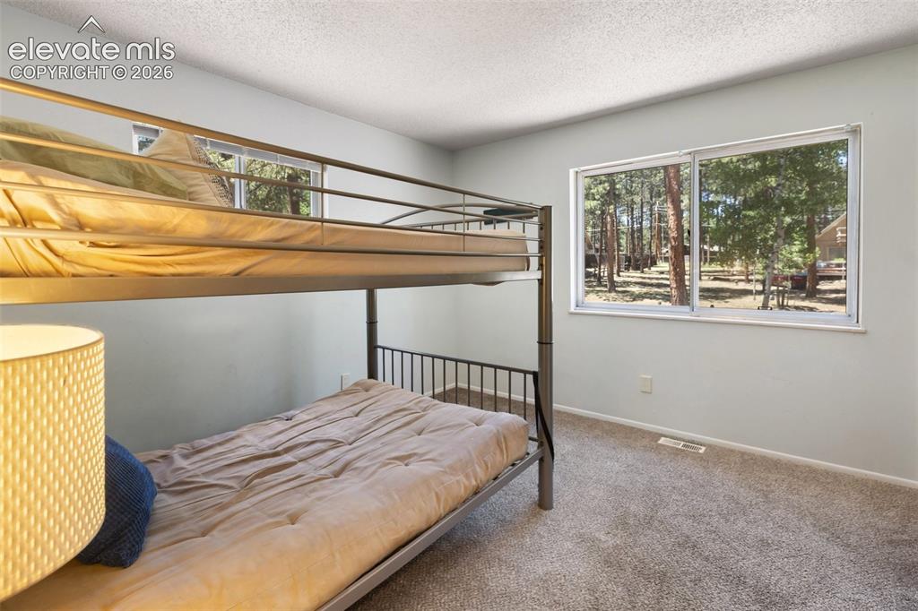 723 N Center Street Woodland Park CO 80863