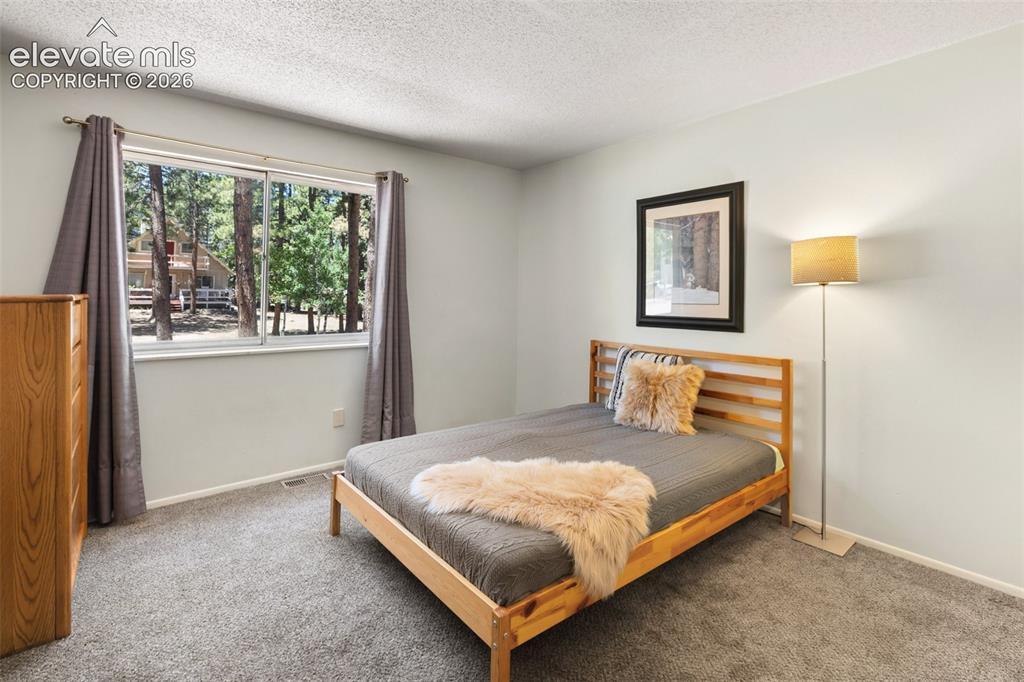 723 N Center Street Woodland Park CO 80863