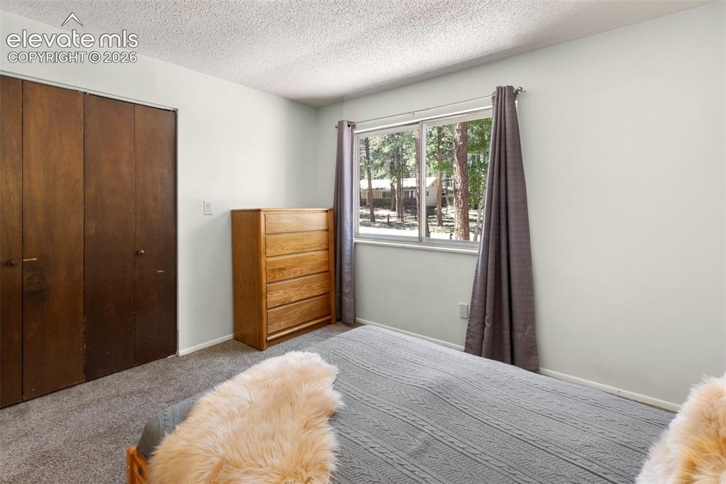 723 N Center Street Woodland Park CO 80863