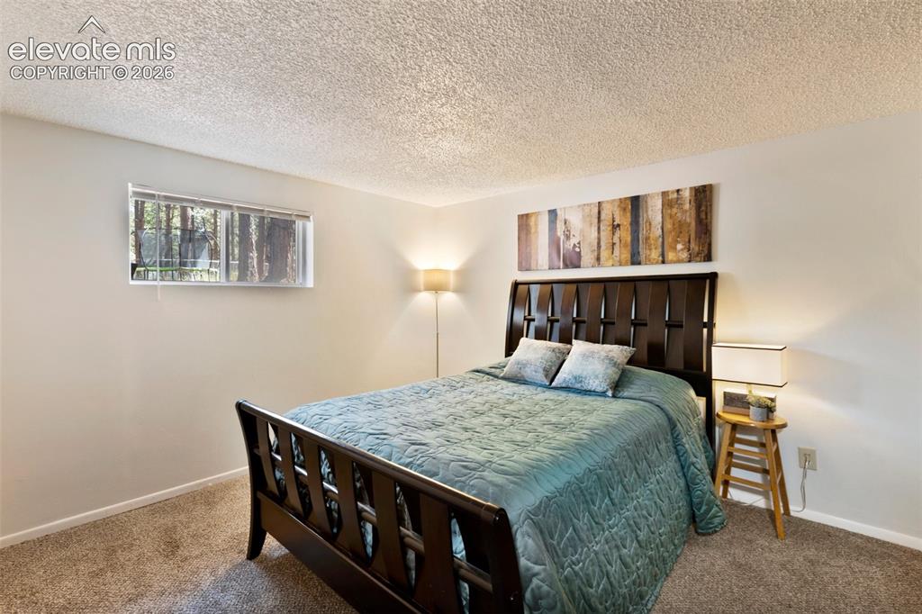 723 N Center Street Woodland Park CO 80863