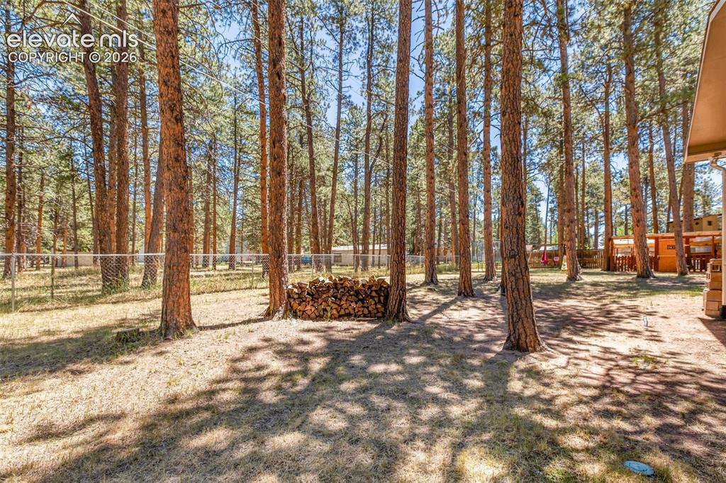 723 N Center Street Woodland Park CO 80863