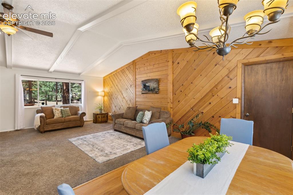 723 N Center Street Woodland Park CO 80863