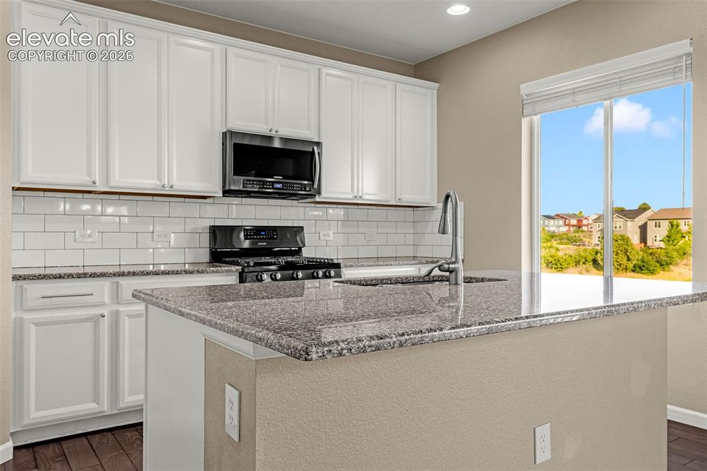 4469 Mcmurdo Court Castle Rock CO 80108