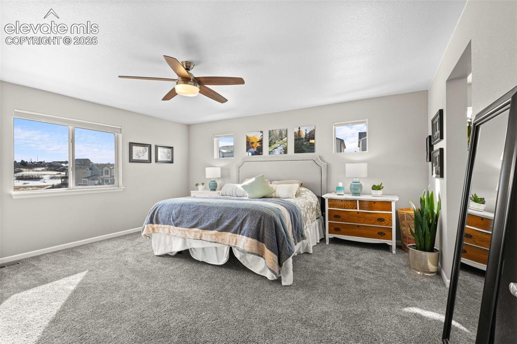 4469 Mcmurdo Court Castle Rock CO 80108