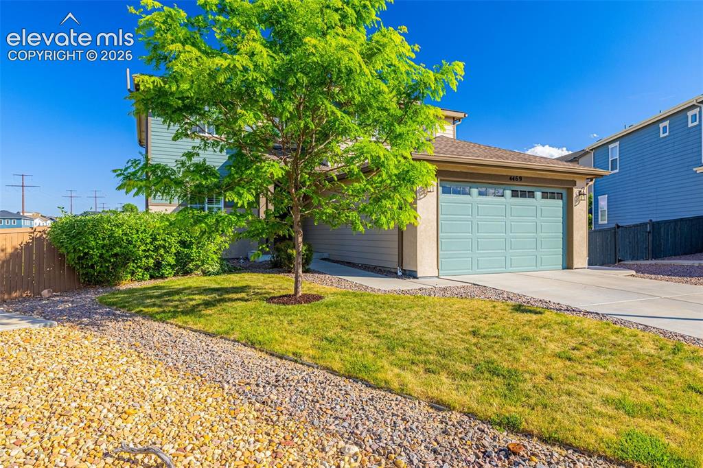 4469 Mcmurdo Court Castle Rock CO 80108