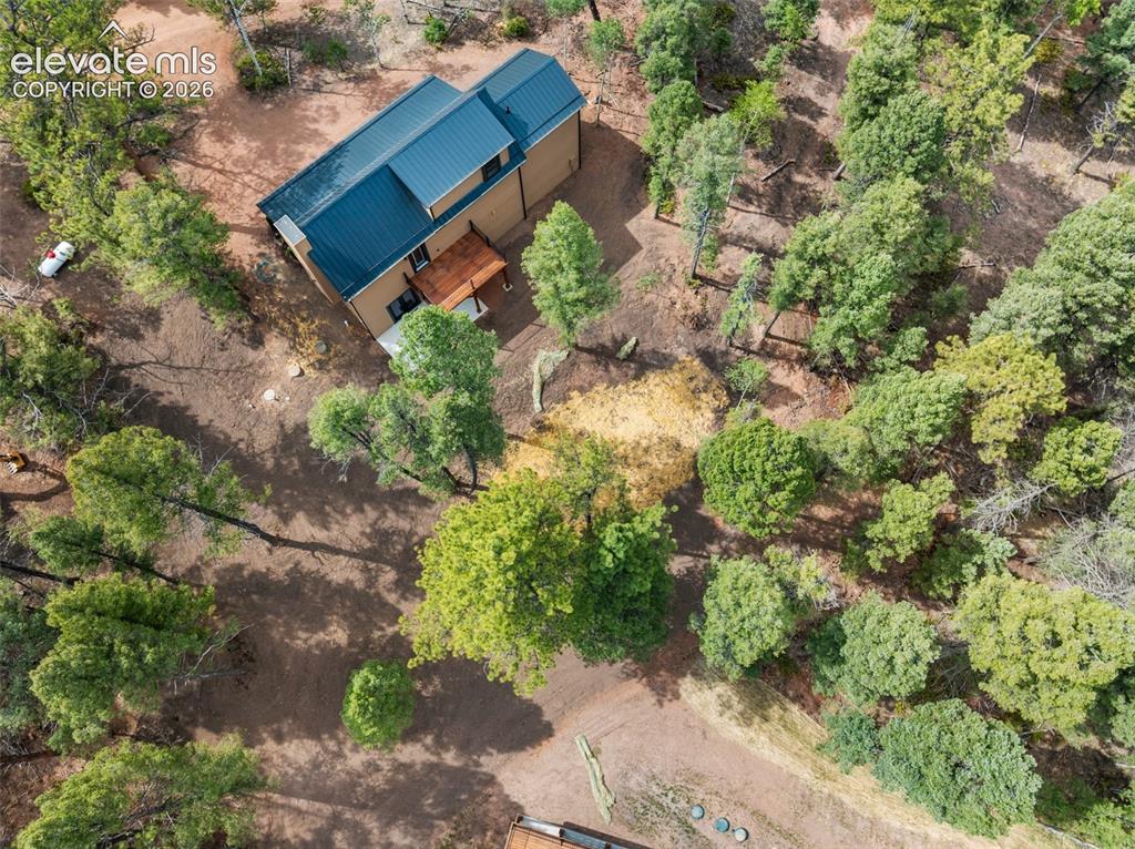 15 Juniper Circle Florissant CO 80816