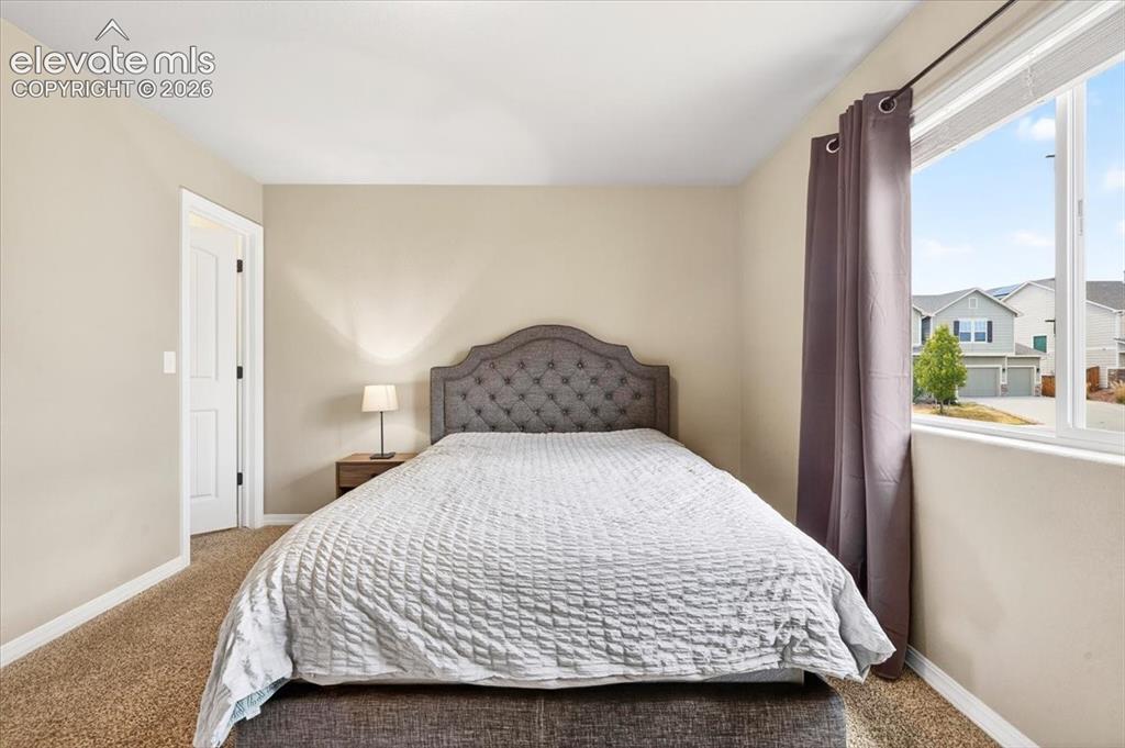 7208 Cat Tail Creek Drive Colorado Springs CO 80923