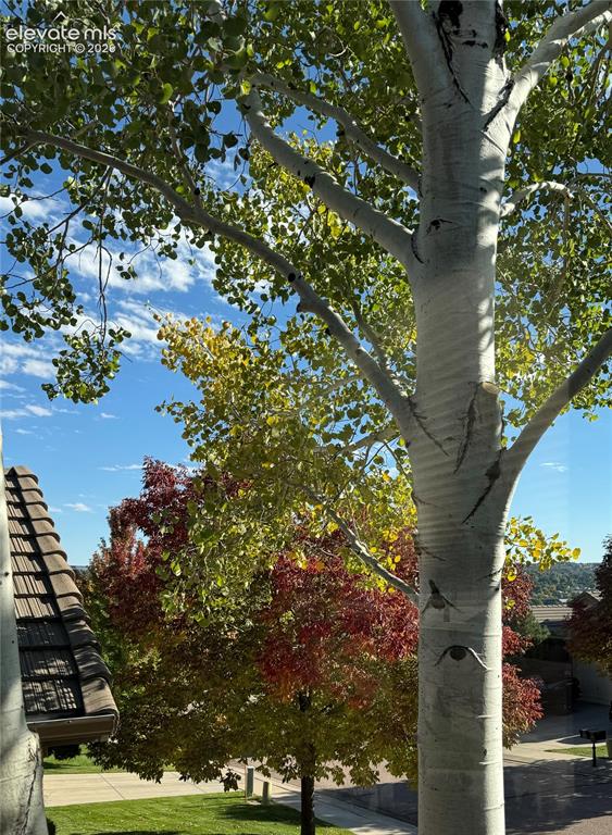 4716 Julliard Drive Colorado Springs CO 80918