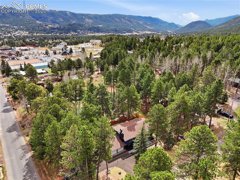 307 S Evergreen Street Woodland Park CO 80863