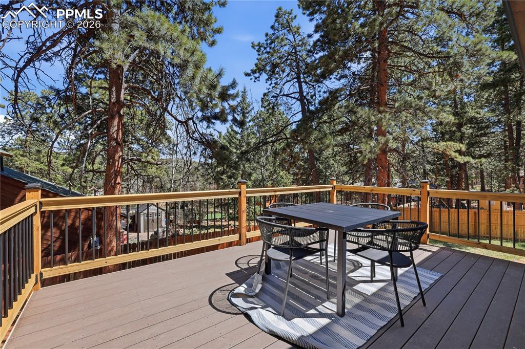 307 S Evergreen Street Woodland Park CO 80863