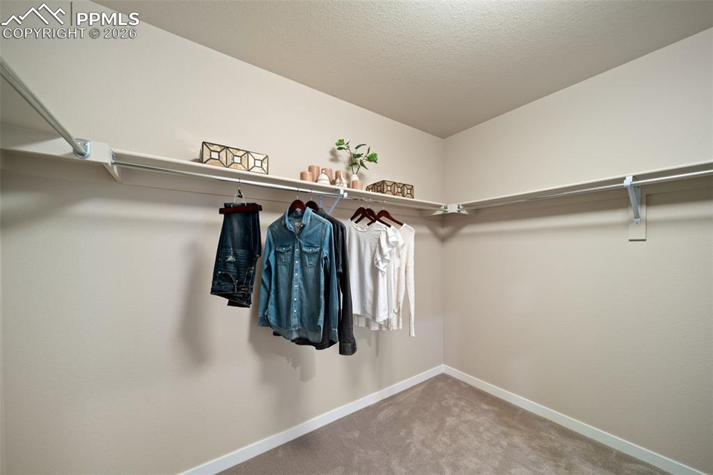 4984 Eddleman Court Colorado Springs CO 80925