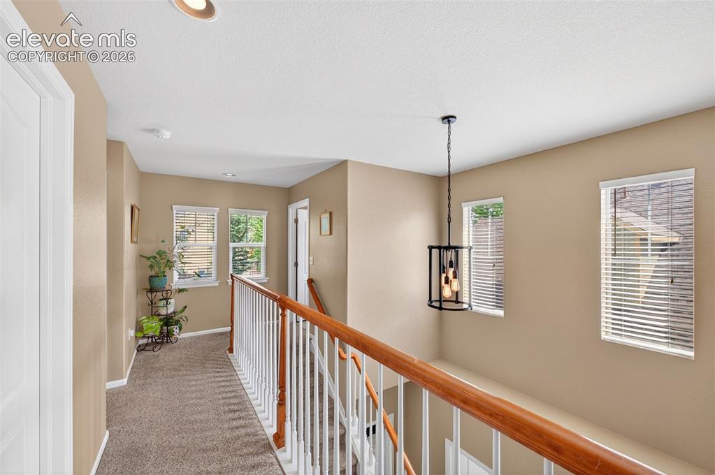 10648 Ashfield Street Highlands Ranch CO 80126