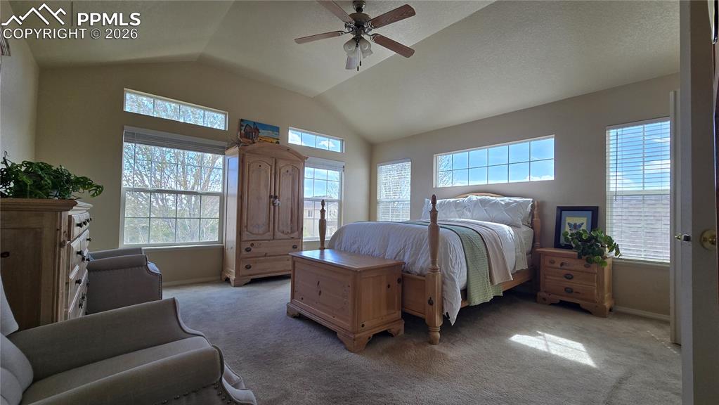 7458 Flathead Lake Drive Colorado Springs CO 80923