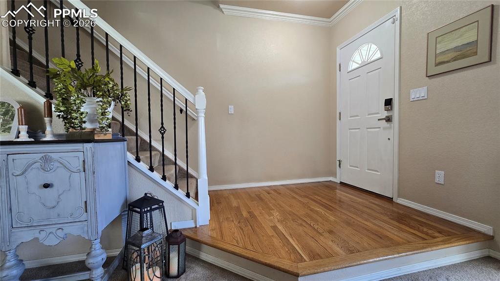 7458 Flathead Lake Drive Colorado Springs CO 80923