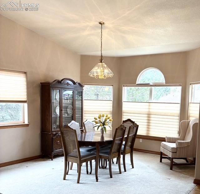 5431 Wells Fargo Drive Colorado Springs CO 80918