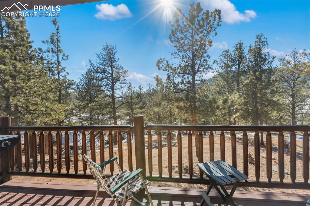 10448 County Road 1 Florissant CO 80816