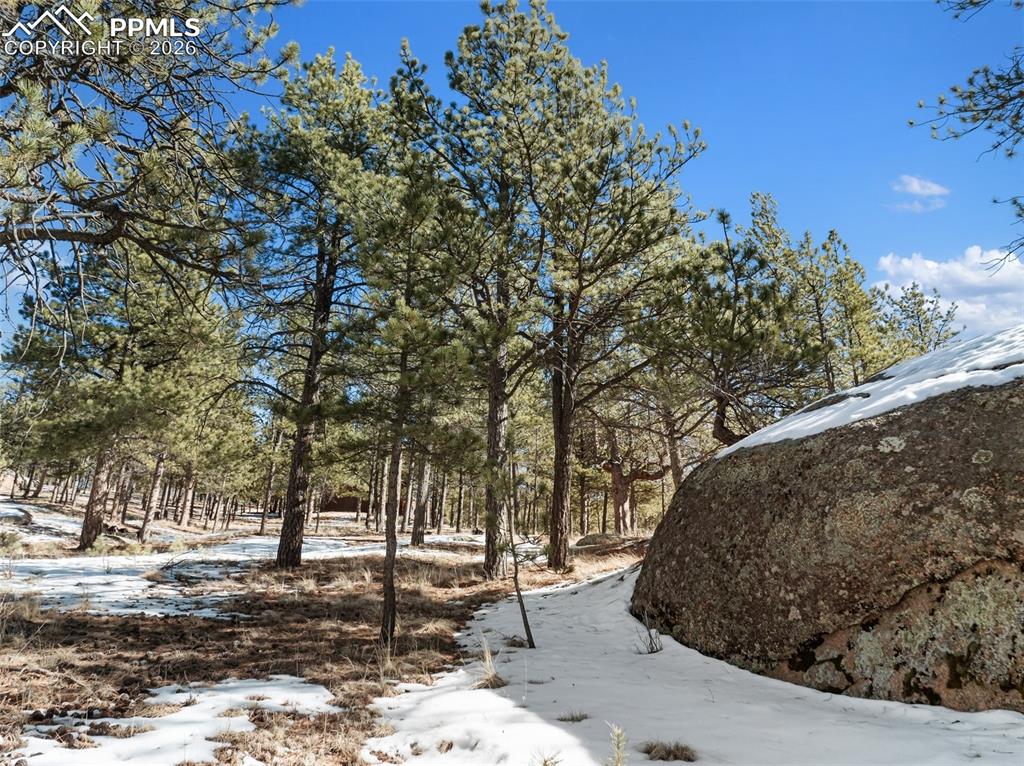10448 County Road 1 Florissant CO 80816