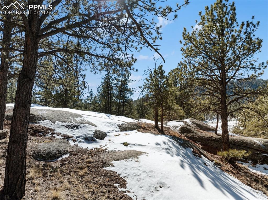 10448 County Road 1 Florissant CO 80816