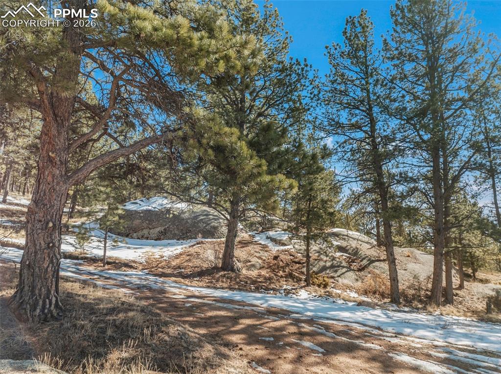 10448 County Road 1 Florissant CO 80816