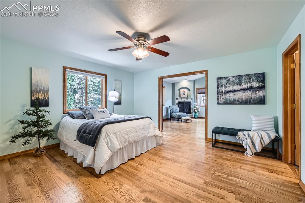 2988 Sunnywood Avenue Woodland Park CO 80863