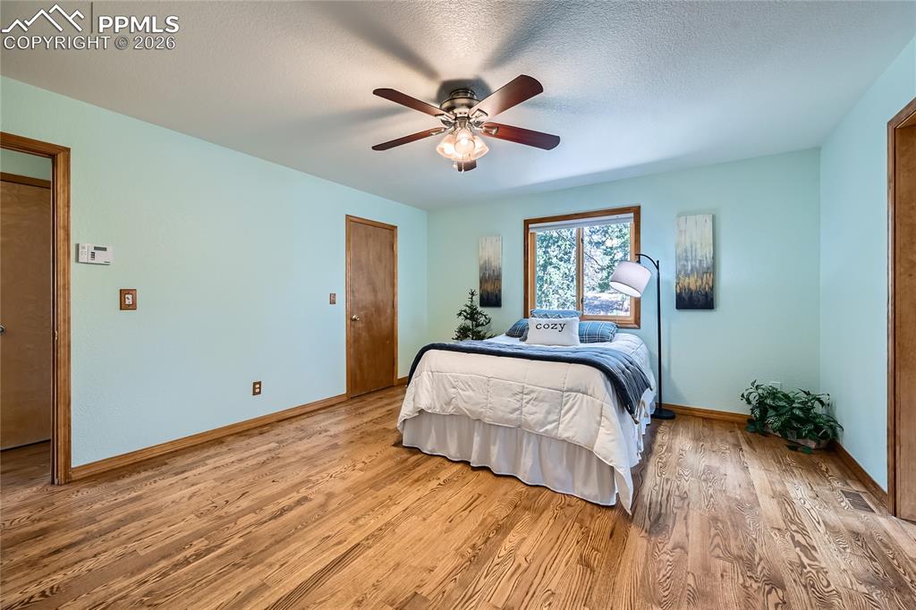 2988 Sunnywood Avenue Woodland Park CO 80863