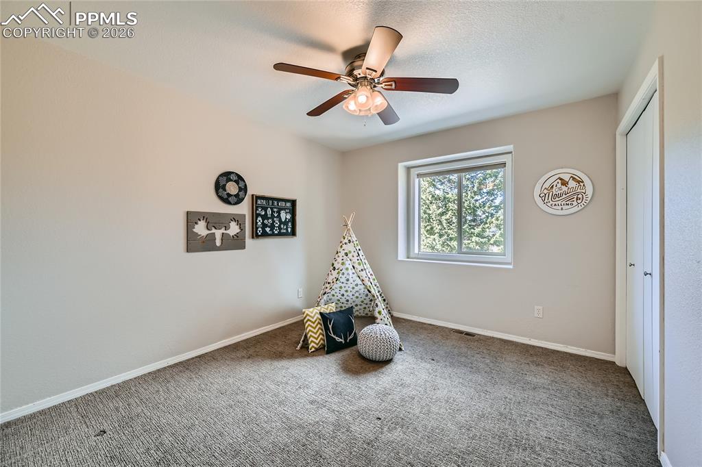 2988 Sunnywood Avenue Woodland Park CO 80863