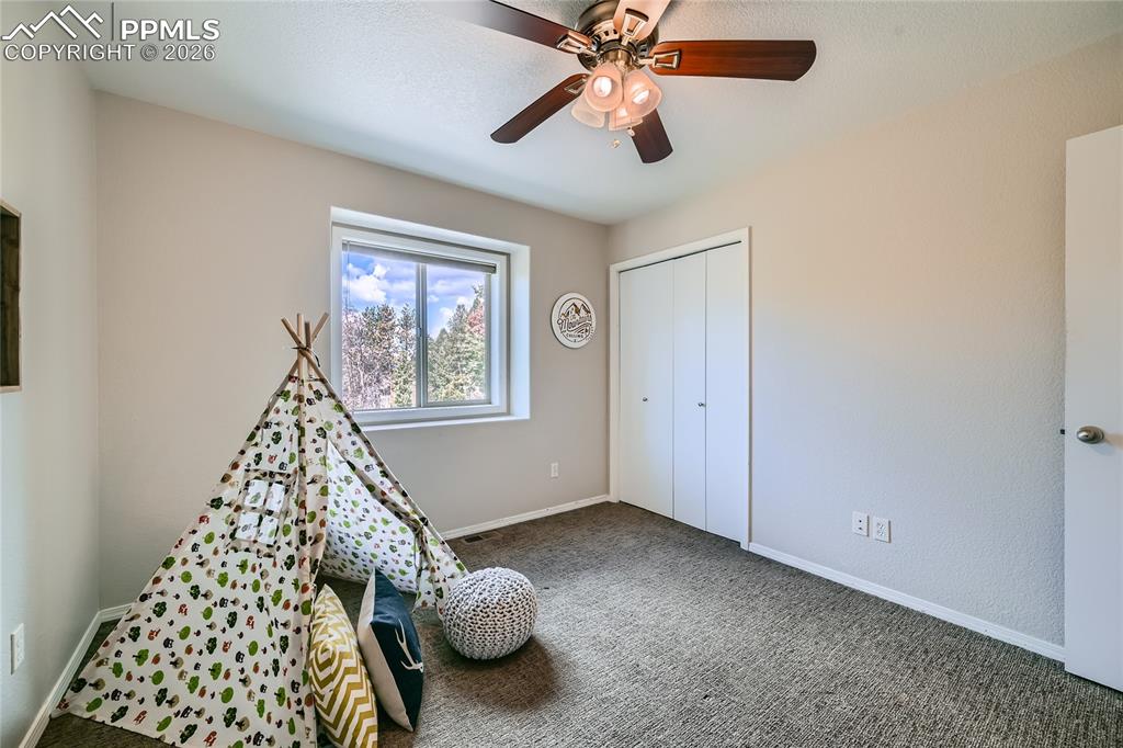 2988 Sunnywood Avenue Woodland Park CO 80863