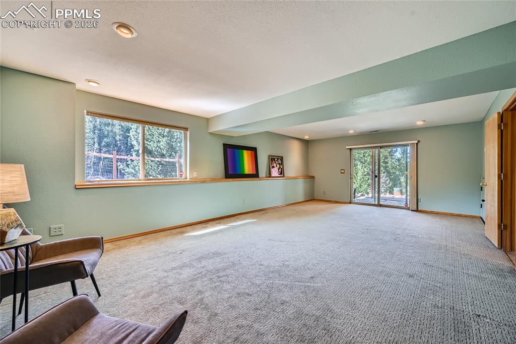 2988 Sunnywood Avenue Woodland Park CO 80863