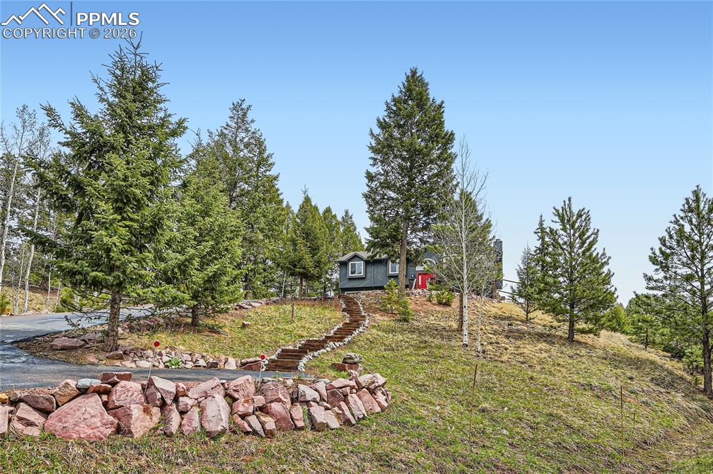 2988 Sunnywood Avenue Woodland Park CO 80863