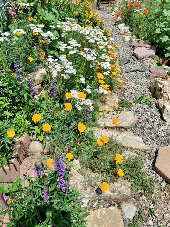 2988 Sunnywood Avenue Woodland Park CO 80863