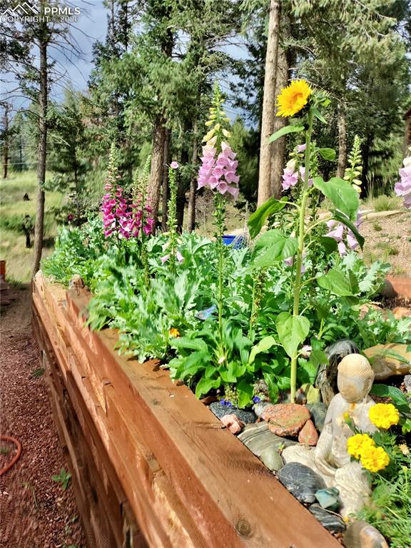 2988 Sunnywood Avenue Woodland Park CO 80863
