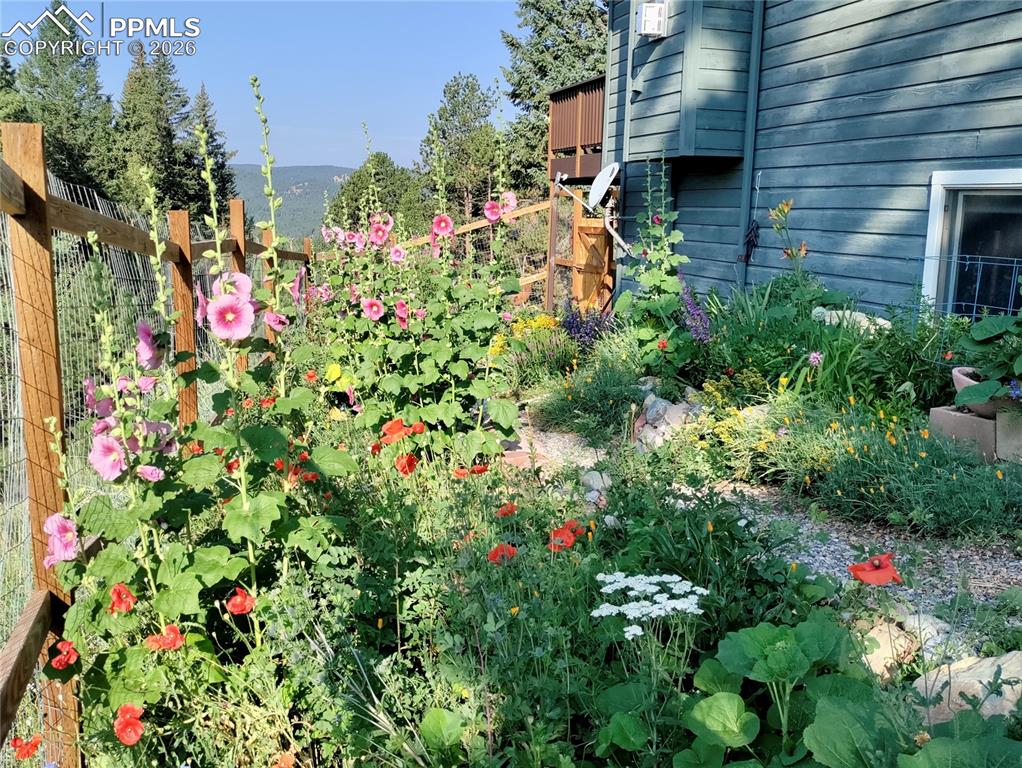 2988 Sunnywood Avenue Woodland Park CO 80863
