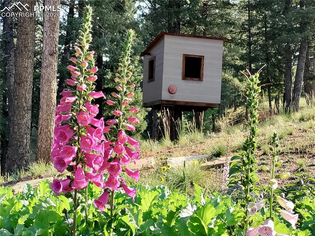 2988 Sunnywood Avenue Woodland Park CO 80863