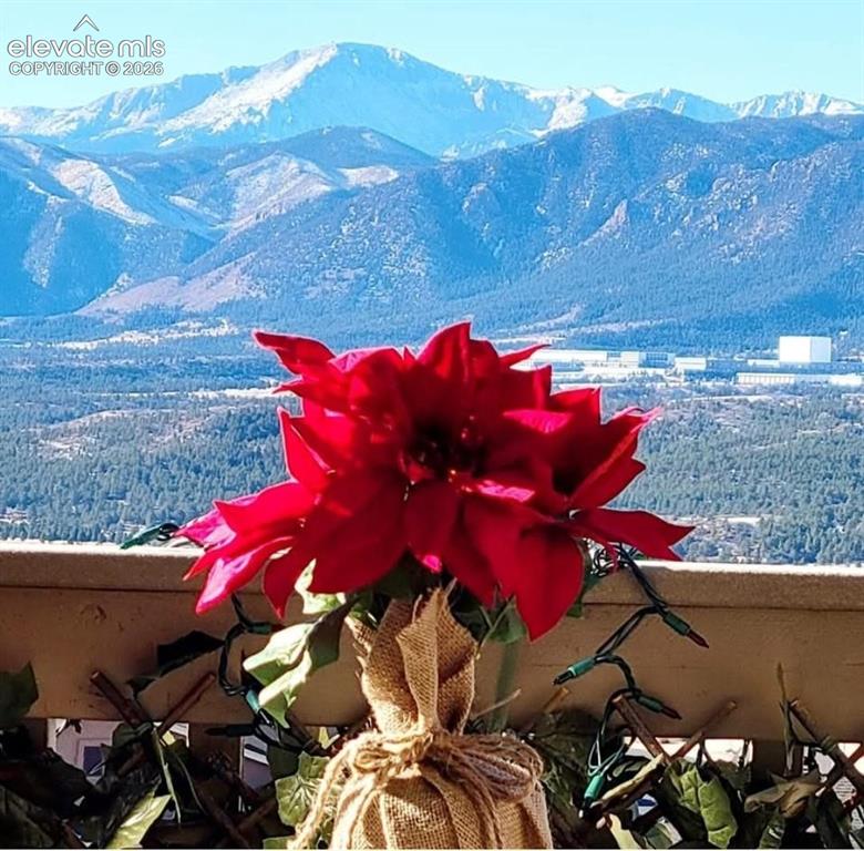201 Kettle Valley Way Monument CO 80132