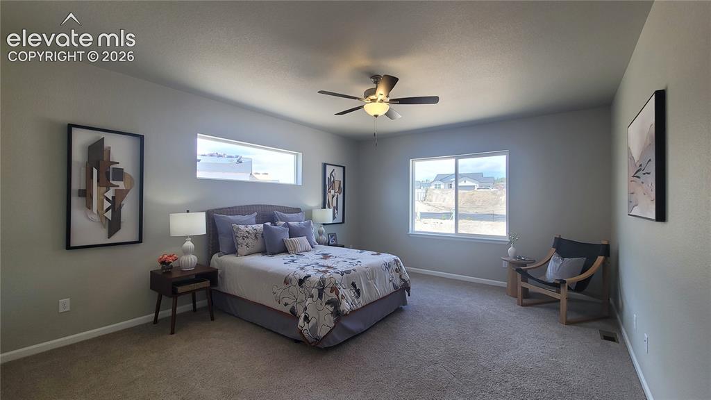 6526 Miro Lane Colorado Springs CO 80924