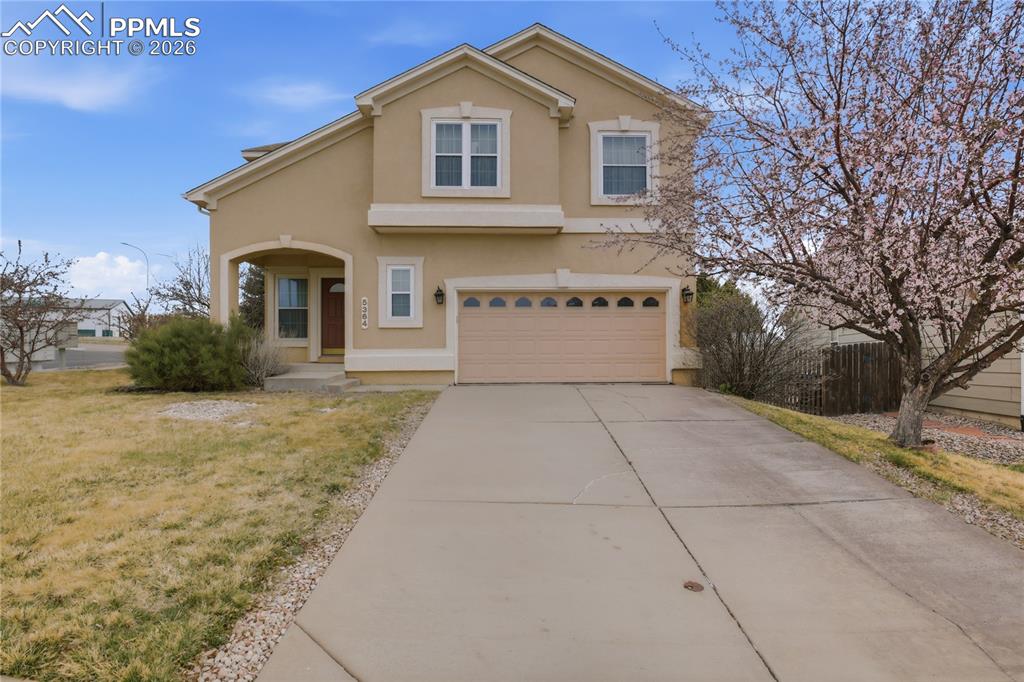 5364 Rose Ridge Lane Colorado Springs CO 80917