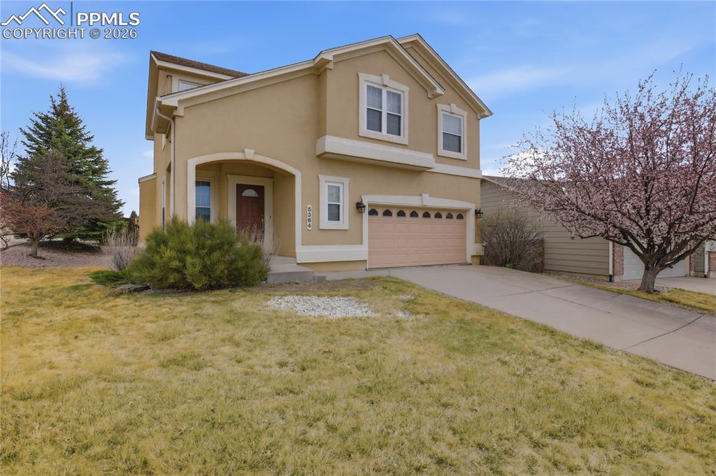 5364 Rose Ridge Lane Colorado Springs CO 80917