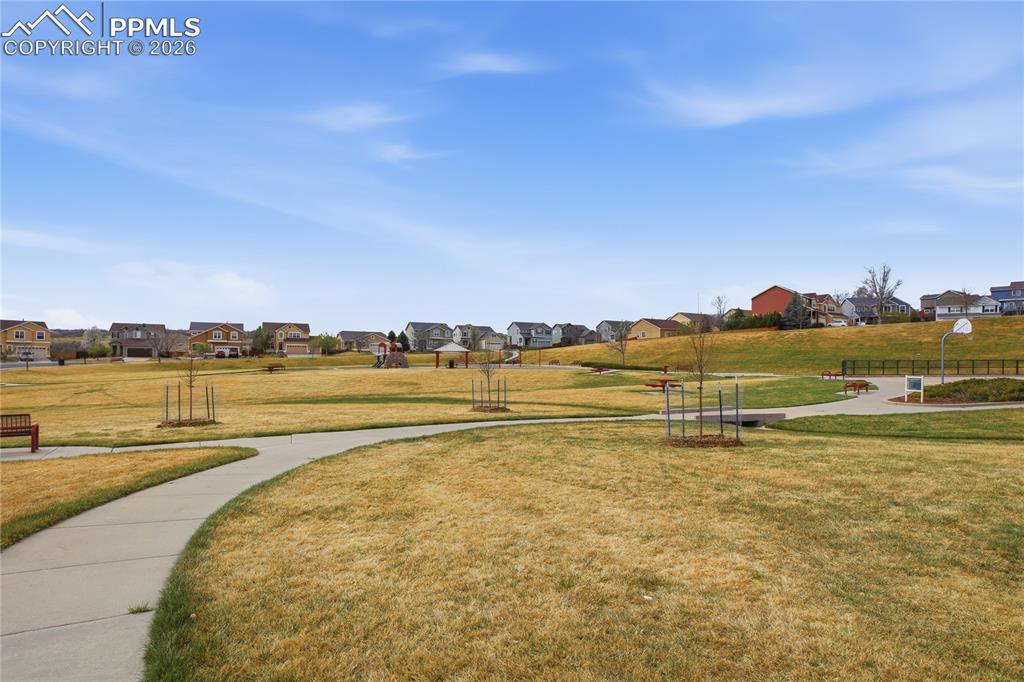 5364 Rose Ridge Lane Colorado Springs CO 80917