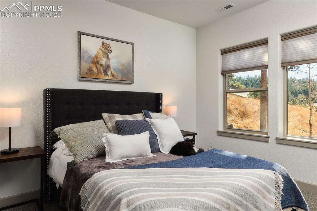 1340 Blue Haven Place Woodland Park CO 80863