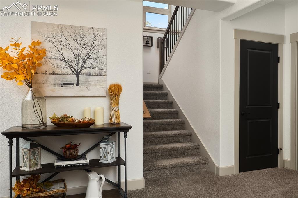 1340 Blue Haven Place Woodland Park CO 80863
