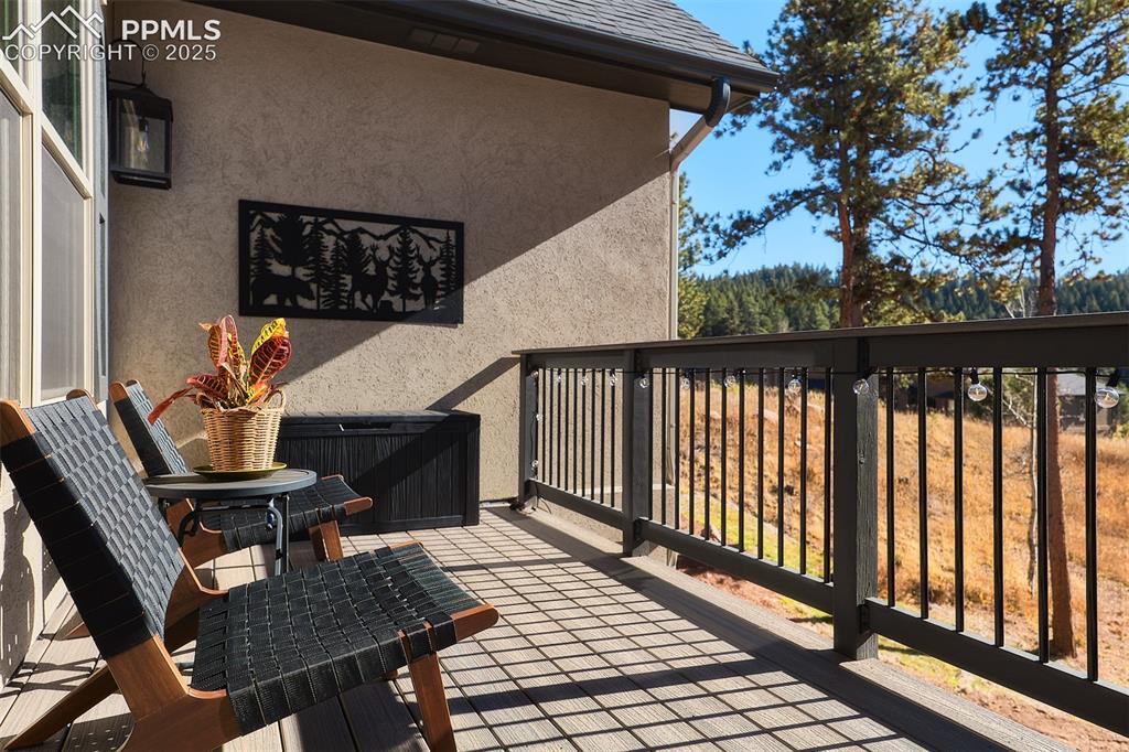 1340 Blue Haven Place Woodland Park CO 80863