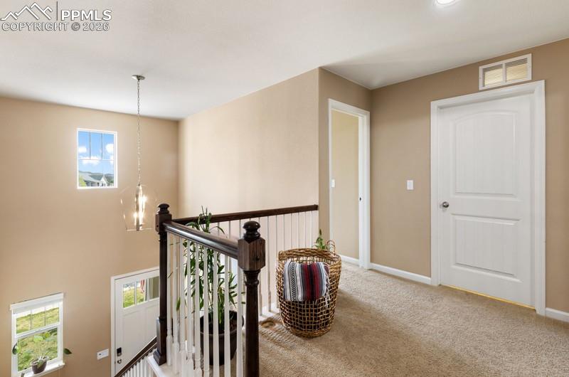 6838 Cottonwood Tree Drive Colorado Springs CO 80927