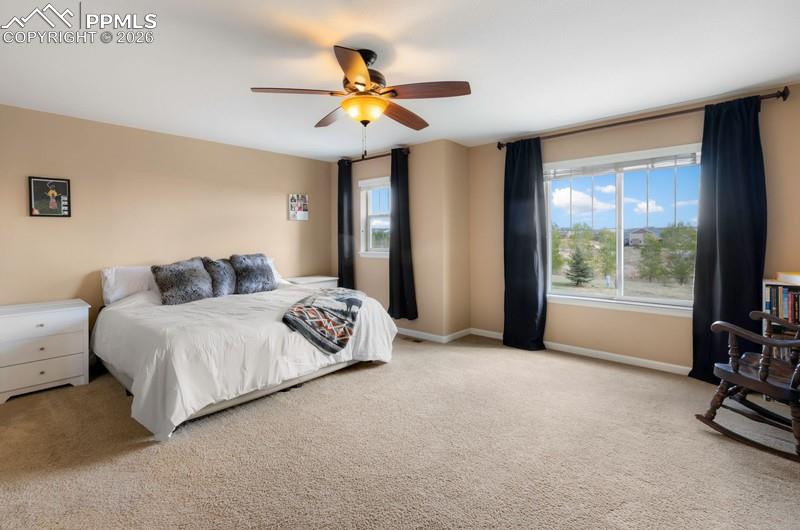 6838 Cottonwood Tree Drive Colorado Springs CO 80927