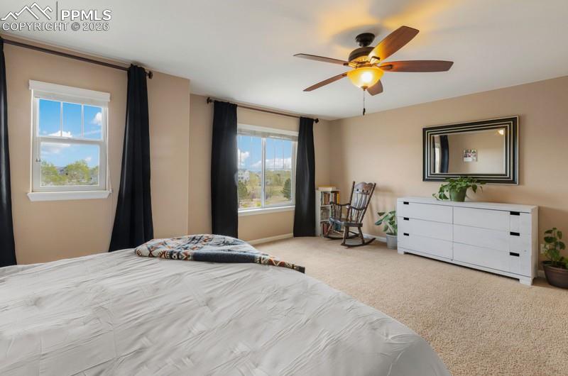 6838 Cottonwood Tree Drive Colorado Springs CO 80927
