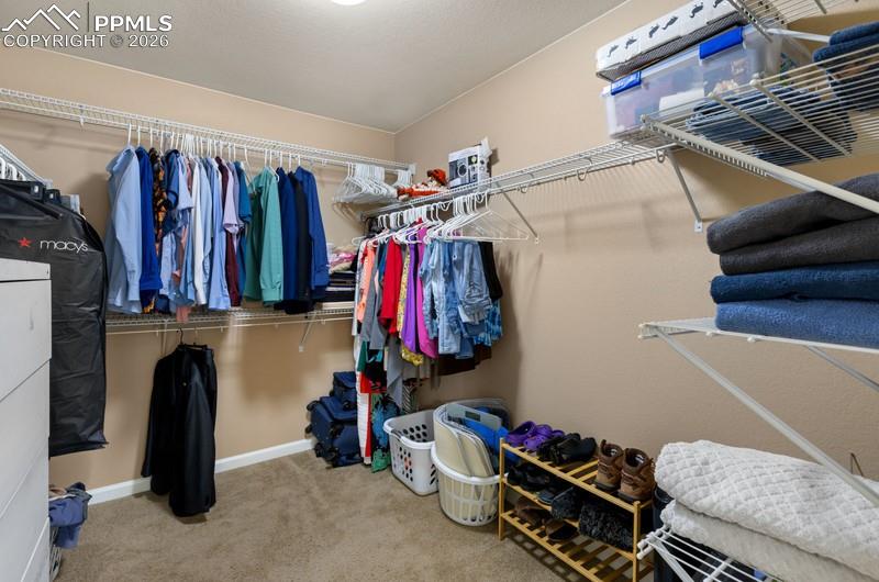 6838 Cottonwood Tree Drive Colorado Springs CO 80927