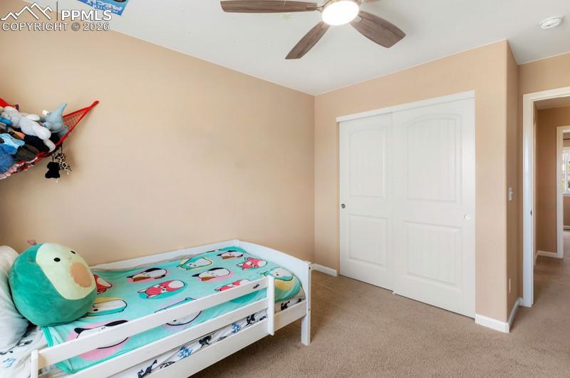 6838 Cottonwood Tree Drive Colorado Springs CO 80927